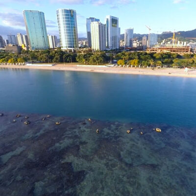 ProsPac Holdings: COVID-19 Donation to Hawai‘i Community Foundation